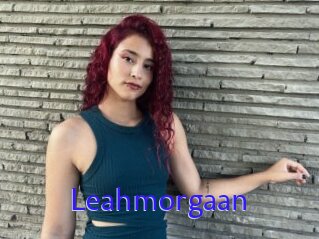 Leahmorgaan