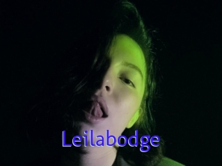 Leilabodge