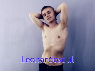 Leonardosoul