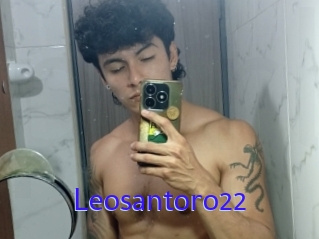 Leosantoro22