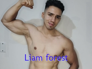 Liam_forest