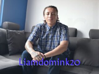 Liamdomink20