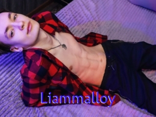 liammalloy Porno Bild