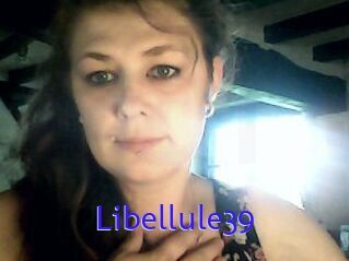 Libellule39