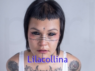 Lilacollina