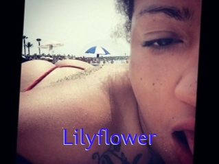 Lilyflower