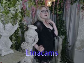 Linacams
