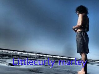 Littlecurly_marley