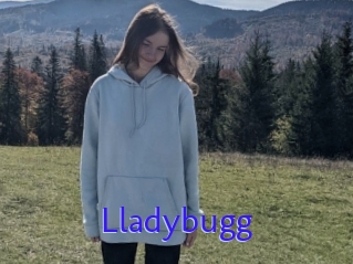 Lladybugg