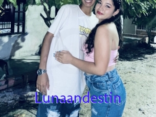 Lunaandestin