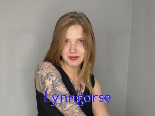 Lynngorse