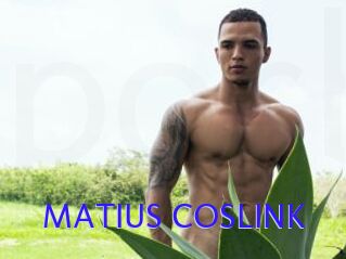 MATIUS_COSLINK
