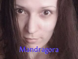 Mandragora