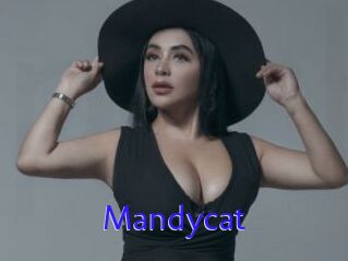 Mandycat