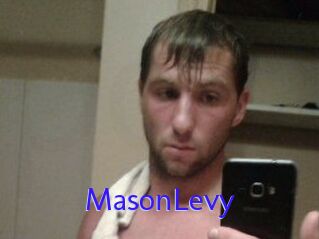 Mason_Levy