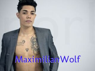 MaximilianWolf