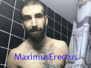 MaximusErectus