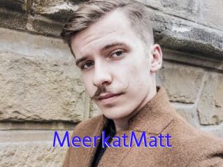 MeerkatMatt