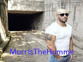 MorrisTheHumme