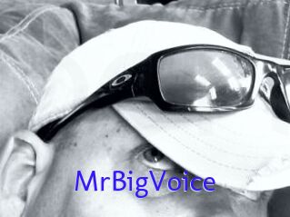 MrBigVoice
