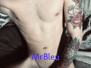 MrBleu