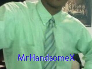 MrHandsomeX