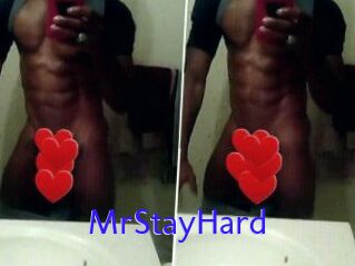 MrStayHard