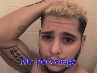 Mr_pervysage Porno Bild