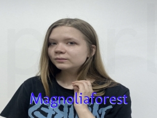 Magnoliaforest
