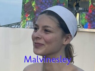 Malvinesley