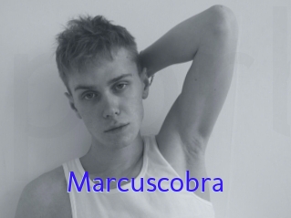marcuscobra Porno Bild