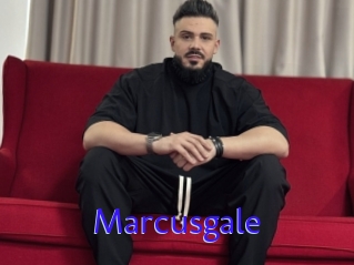Marcusgale