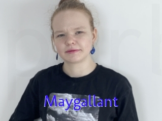 Maygallant