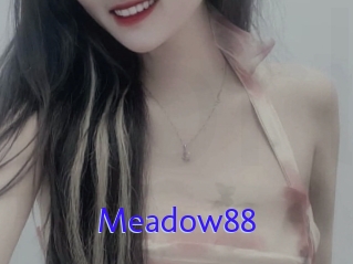 Meadow88