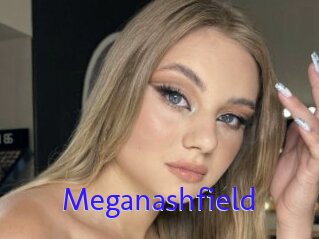 Meganashfield