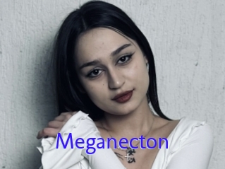 Meganecton