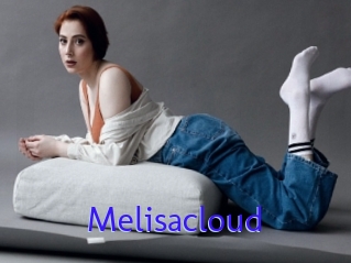 Melisacloud
