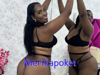Meridapoket