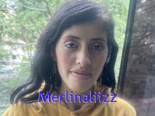 Merlinaliizz