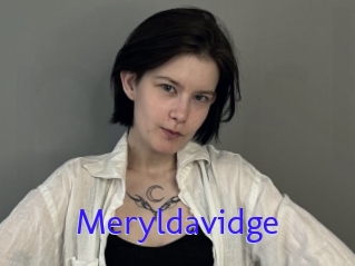 Meryldavidge
