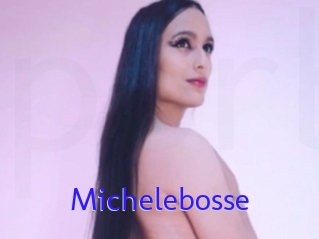Michelebosse