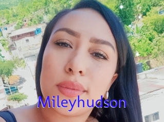Mileyhudson