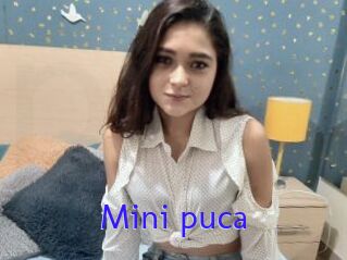 Mini_puca