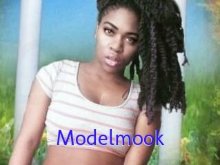 Modelmook