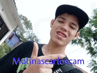Molinascarloscam