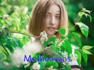 Mollieevans