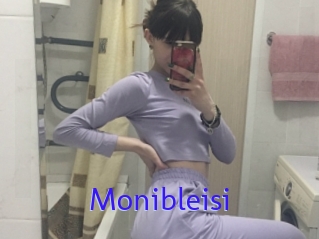 Monibleisi