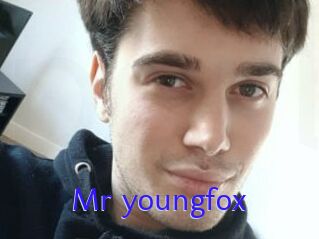 Mr_youngfox