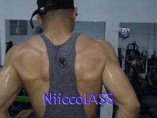 NiiccolASS