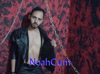 NoahCum